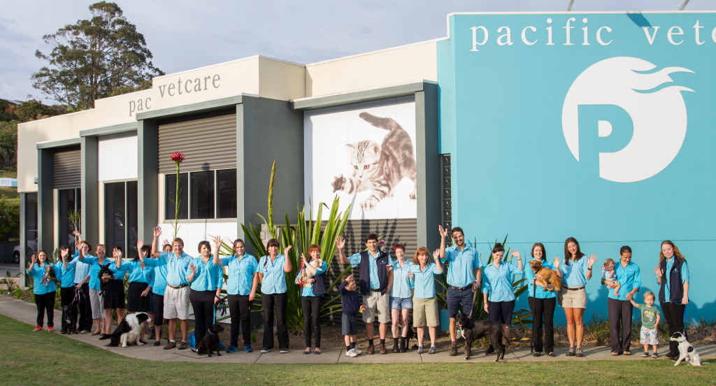 WINNING TEAM: Some of the Pacific Vetcare crew that helped the business to be named the best large animal practice in Australia. WINNING TEAM: Some of the Pacific Vetcare crew that helped the business to be named the best large animal practice in Australia.